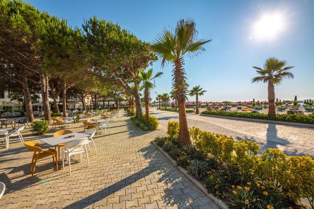 Palm-lined promenade with cafe tables in the shade near Qerret–Golem Beach